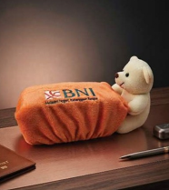 Tempat Tissue Boneka
